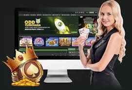 vip6